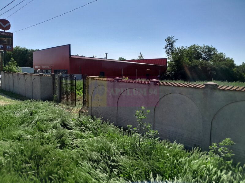 Movilita (IL)-teren de inch. 1800 mp stradal, 30 ml desch, langa Profi