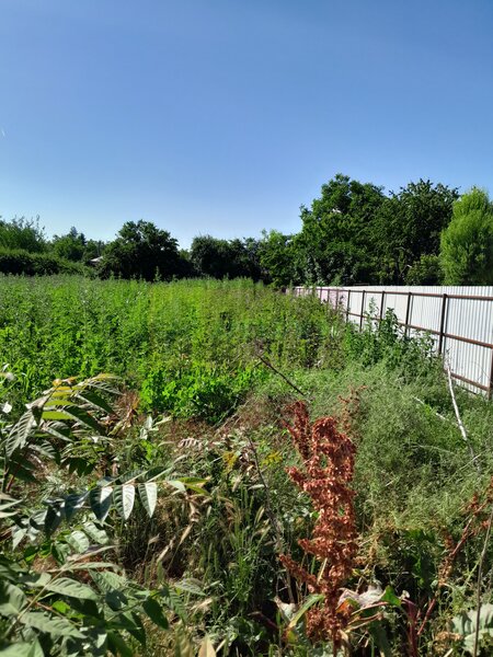 Movilita (IL)-teren de inch. 1800 mp stradal, 30 ml desch, langa Profi