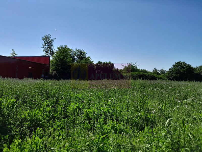 Movilita (IL)-teren de inch. 1800 mp stradal, 30 ml desch, langa Profi